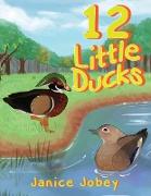 12 Little Ducks