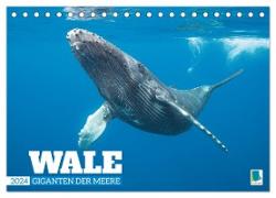Wale: Giganten der Meere (Tischkalender 2024 DIN A5 quer), CALVENDO Monatskalender
