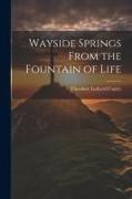 Wayside Springs From the Fountain of Life