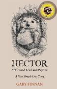 Hector At Ground Level and Beyond