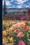 Rhododendrons & Azaleas