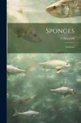 Sponges, Poriferae