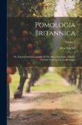 Pomologia Britannica: Or, Figures And Descriptions Of The Most Important Varieties Of Fruit Cultivated In Great Britain, Volume 3