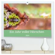 Ein Jahr voller Hörnchen (hochwertiger Premium Wandkalender 2024 DIN A2 quer), Kunstdruck in Hochglanz