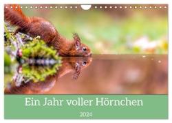 Ein Jahr voller Hörnchen (Wandkalender 2024 DIN A4 quer), CALVENDO Monatskalender