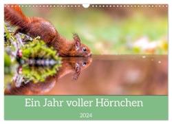 Ein Jahr voller Hörnchen (Wandkalender 2024 DIN A3 quer), CALVENDO Monatskalender
