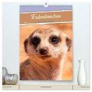 Erdmännchen - Eine Kolonie in der Kalahari (hochwertiger Premium Wandkalender 2024 DIN A2 hoch), Kunstdruck in Hochglanz