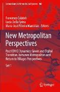 New Metropolitan Perspectives