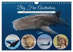 Big Five Australiens Buckelwal, Walhai, Orca, Quokka,Känguru (Wandkalender 2024 DIN A4 quer), CALVENDO Monatskalender