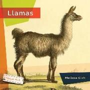 Llamas