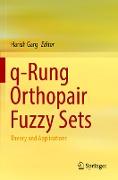 q-Rung Orthopair Fuzzy Sets