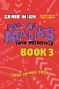 Meet the Maliks – Twin Detectives: Meet the Maliks Book 3