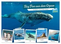 Big Five aus dem Ozean Hai, Delphin, Wal, Robbe, Pinguin (Wandkalender 2024 DIN A2 quer), CALVENDO Monatskalender