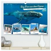 Big Five aus dem Ozean Hai, Delphin, Wal, Robbe, Pinguin (hochwertiger Premium Wandkalender 2024 DIN A2 quer), Kunstdruck in Hochglanz