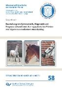 Beurteilung von Symptomatik, Diagnostik und Prognose anhand eines Scoringsystems bei Pferden mit Trigeminus-mediiertem Headshaking
