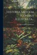 Historia Salicum Iconibus Illustrata