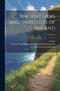 Ancient Laws and Institutes of Ireland, Volume 4