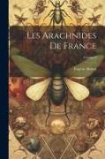 Les Arachnides De France, Volume 3