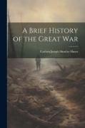 A Brief History of the Great War