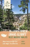 Yellowstone and Grand Teton’s Best Nature Walks