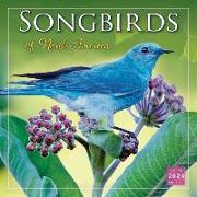 Songbirds of North America