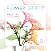 Flower Spirits: Radiographs of Nature by Steven N. Meyers