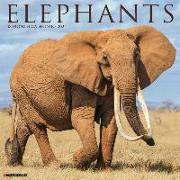 Elephants 2024 12 X 12 Wall Calendar