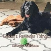 Gatsby's Favourite Things