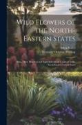 Wild Flowers of the North-eastern States, Being Three Hundred and Eight Individuals Common to the North-eastern United States