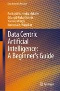 Data Centric Artificial Intelligence: A Beginner¿s Guide