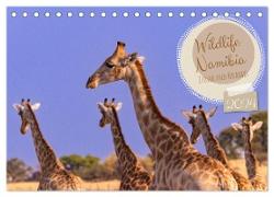 Wildlife Namibia - Etosha und Kalahari (Tischkalender 2024 DIN A5 quer), CALVENDO Monatskalender