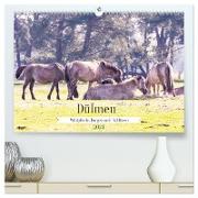 Dülmen - Wildpferde, Burgen und Schlösser (hochwertiger Premium Wandkalender 2024 DIN A2 quer), Kunstdruck in Hochglanz
