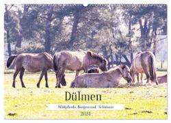 Dülmen - Wildpferde, Burgen und Schlösser (Wandkalender 2024 DIN A2 quer), CALVENDO Monatskalender