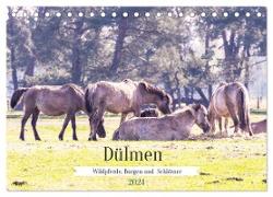 Dülmen - Wildpferde, Burgen und Schlösser (Tischkalender 2024 DIN A5 quer), CALVENDO Monatskalender