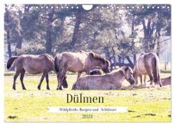 Dülmen - Wildpferde, Burgen und Schlösser (Wandkalender 2024 DIN A4 quer), CALVENDO Monatskalender