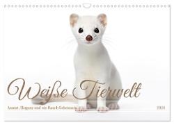 Weiße Tierwelt (Wandkalender 2024 DIN A3 quer), CALVENDO Monatskalender