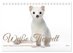 Weiße Tierwelt (Tischkalender 2024 DIN A5 quer), CALVENDO Monatskalender