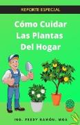 Cómo Cuidar Las Plantas Del Hogar