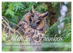 Eulen in Franken (Wandkalender 2024 DIN A2 quer), CALVENDO Monatskalender