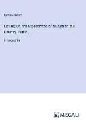Laicus, Or, the Experiences of a Layman in a Country Parish