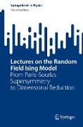 Lectures on the Random Field Ising Model
