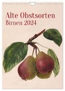 Alte Obstsorten - Birnen 2024 (Wandkalender 2024 DIN A4 hoch), CALVENDO Monatskalender