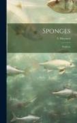 Sponges, Poriferae