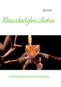 Rhacodactylus ciliatus