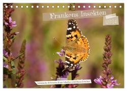 Frankens Insekten (Tischkalender 2024 DIN A5 quer), CALVENDO Monatskalender