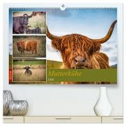 Mutterkühe (hochwertiger Premium Wandkalender 2024 DIN A2 quer), Kunstdruck in Hochglanz