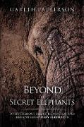 Beyond the Secret Elephants