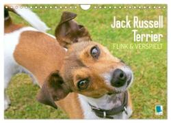 Jack Russell Terrier: flink und verspielt (Wandkalender 2024 DIN A4 quer), CALVENDO Monatskalender