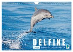 Delfine: Elegante Wellenreiter (Wandkalender 2024 DIN A4 quer), CALVENDO Monatskalender