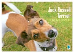 Jack Russell Terrier: flink und verspielt (Wandkalender 2024 DIN A2 quer), CALVENDO Monatskalender